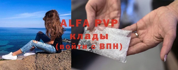 индика Вязники