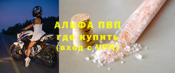 индика Вязники