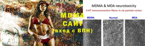 индика Вязники