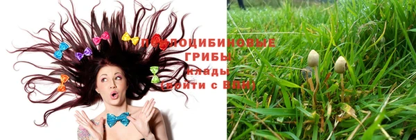 кокаин перу Вяземский