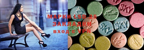 индика Вязники
